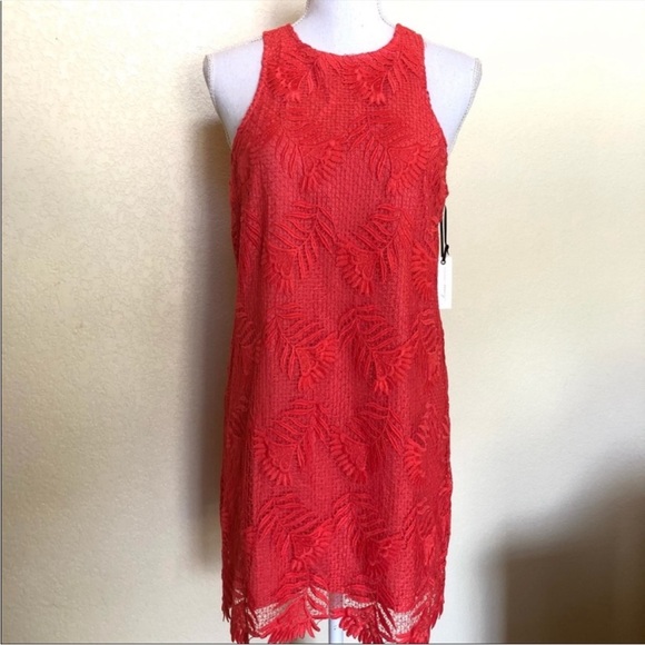 Lovers + Friends Caspian Coral Dress - Picture 9 of 14